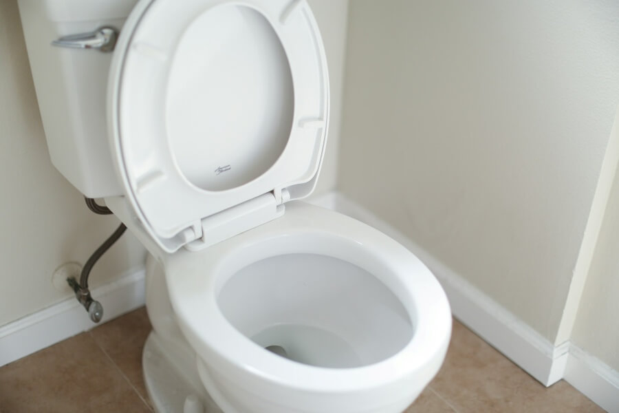 A Clean Toilet