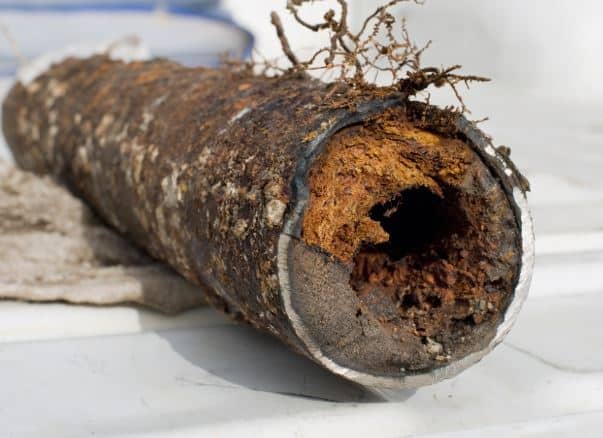 What Can Roots, Rust, And Corrosion Be Doing To Your Pipes Right Now?