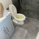 Clogged Toilet - W Leland Ave Chicago IL 60630